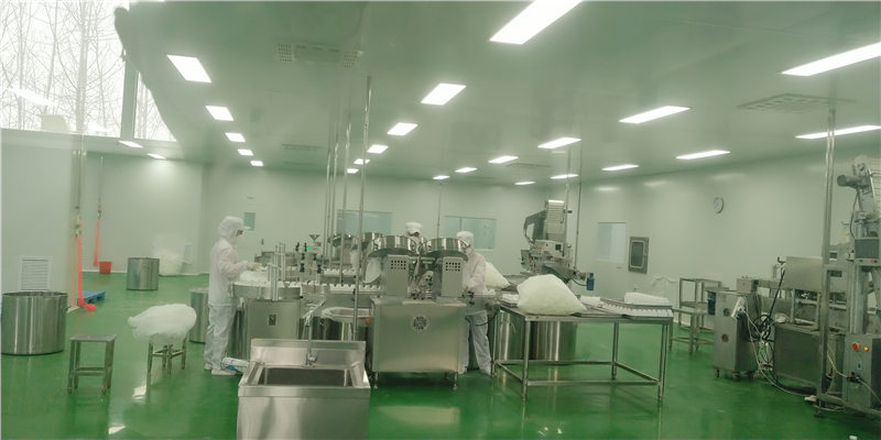 内包装-全自动数粒机 